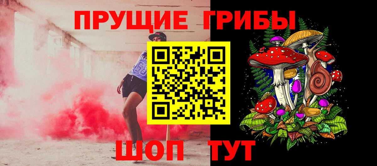 Псилоцибиновые грибы Cubensis  продажа наркотиков  Ногинск  Вход с VPN 